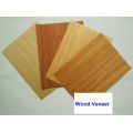 Furnoture/ Door engineering wood veneer